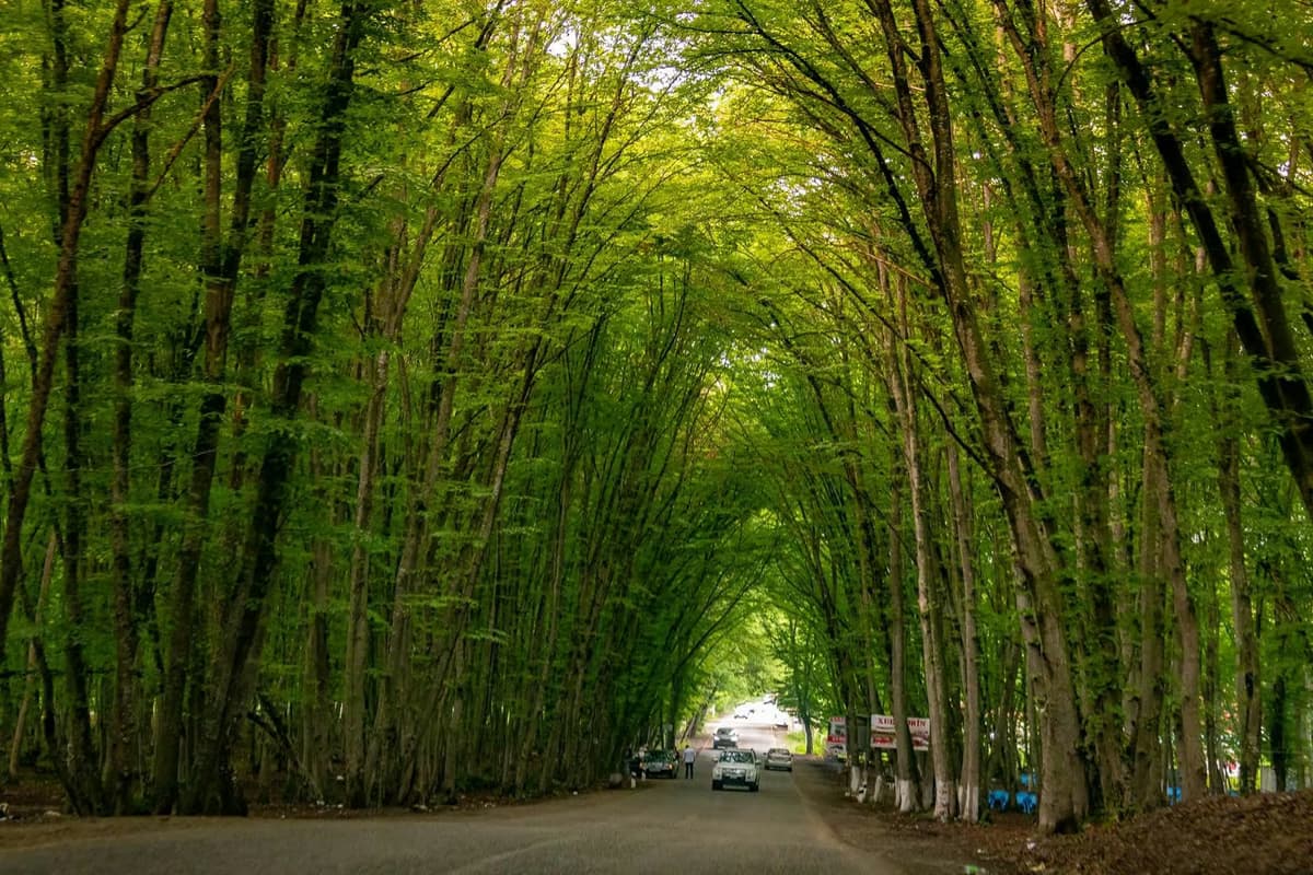 Бакі: Хызы мен Шахдағ — таулар, табиғат және демалыс