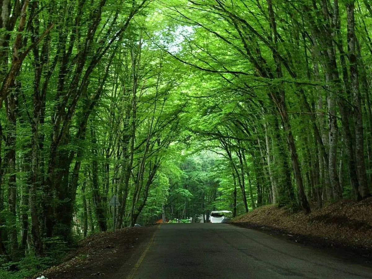 Baku: lago rosa, Khinalig, Quba e montagne «candy cane» — off-road e pranzo
