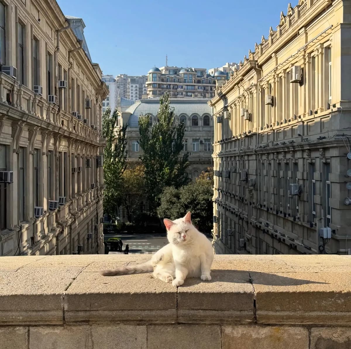 Baku: Citytour — beste Fotospots & Highlights an einem Tag
