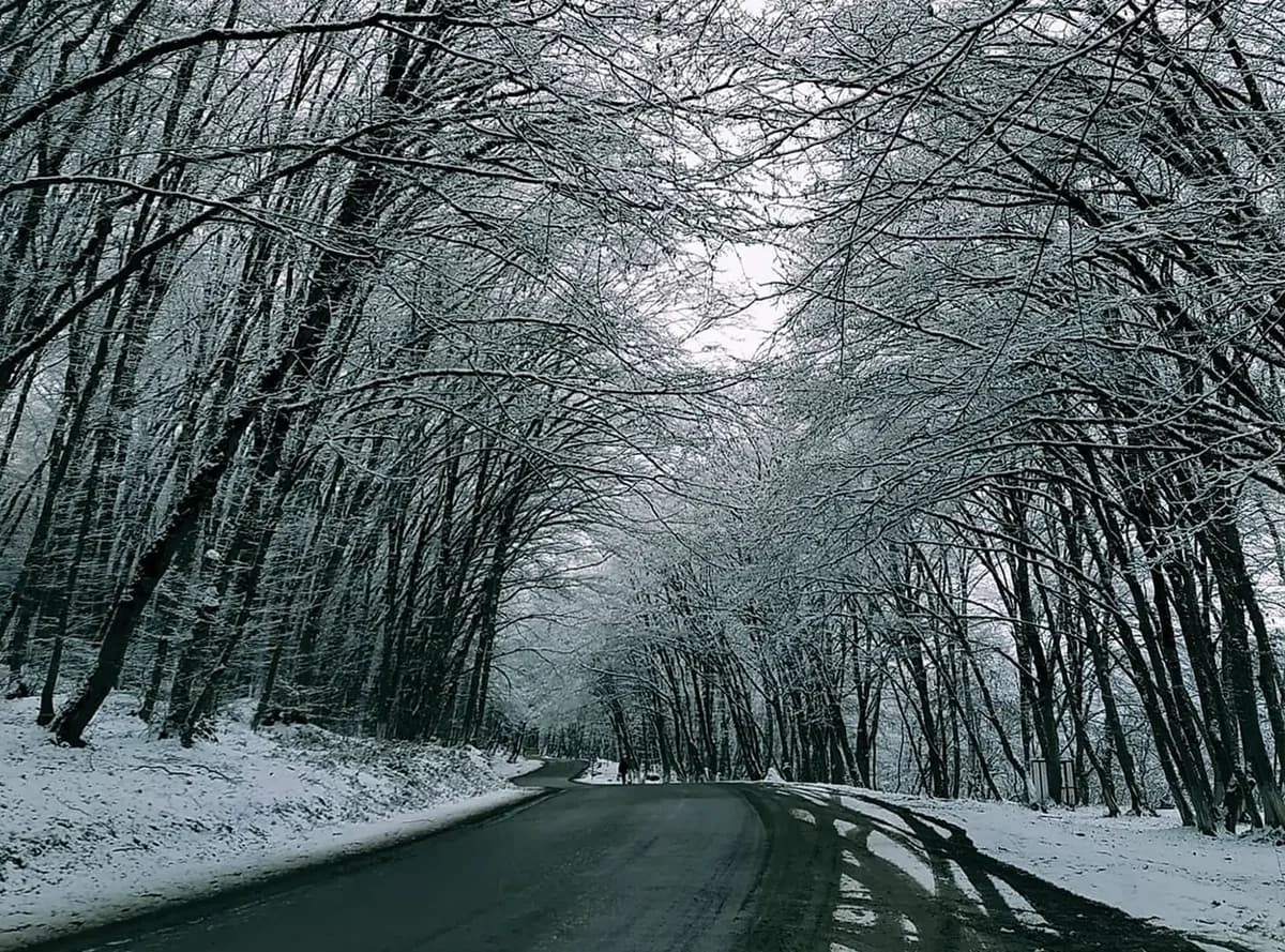 Bakı: Şahdağ, şəkər çubuğu dağları, nahar və Laza şəlaləsi seçimi