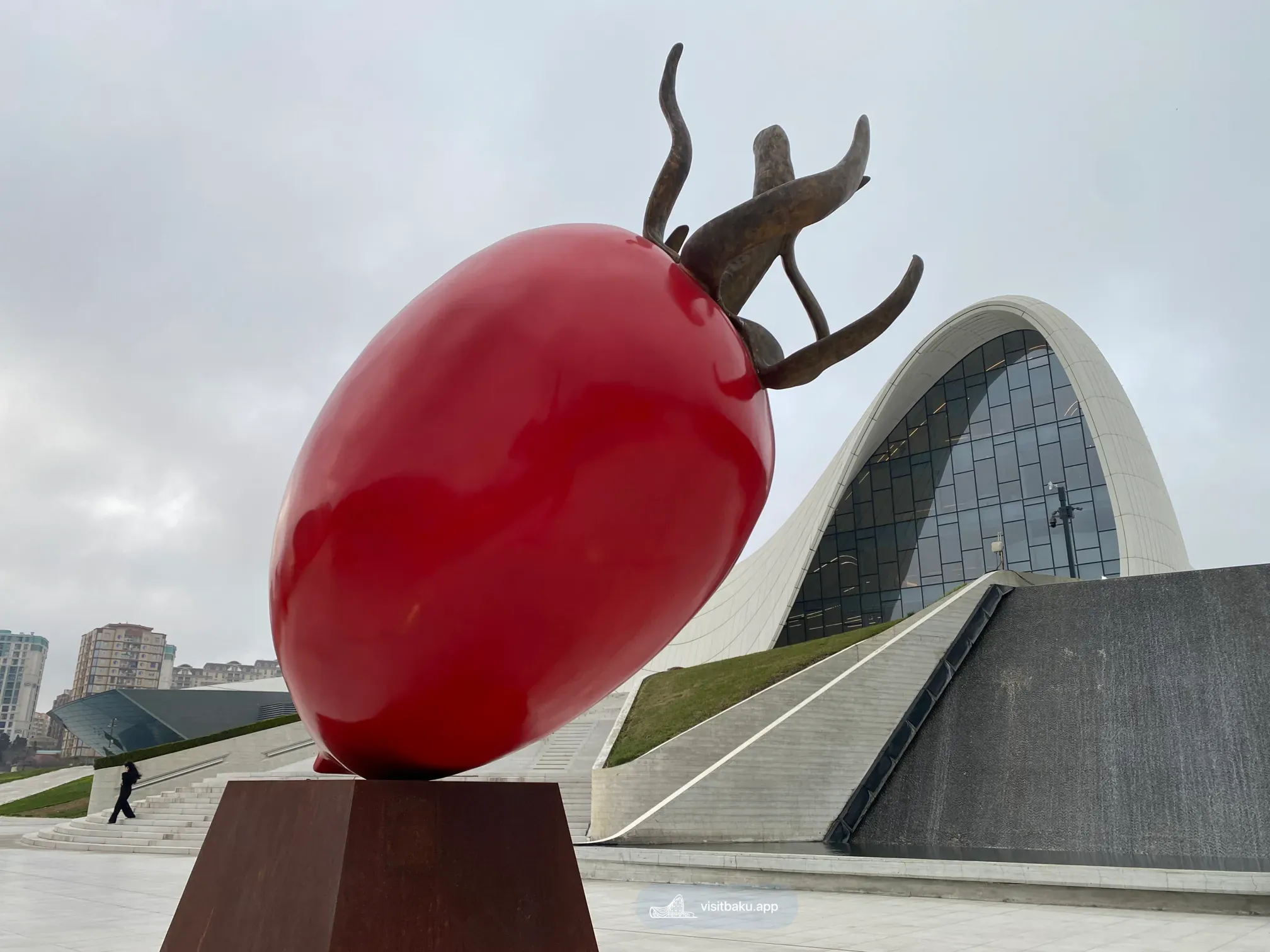 Tomato